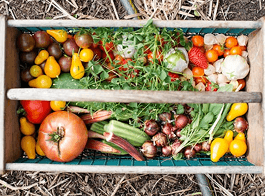 Fresh Produce