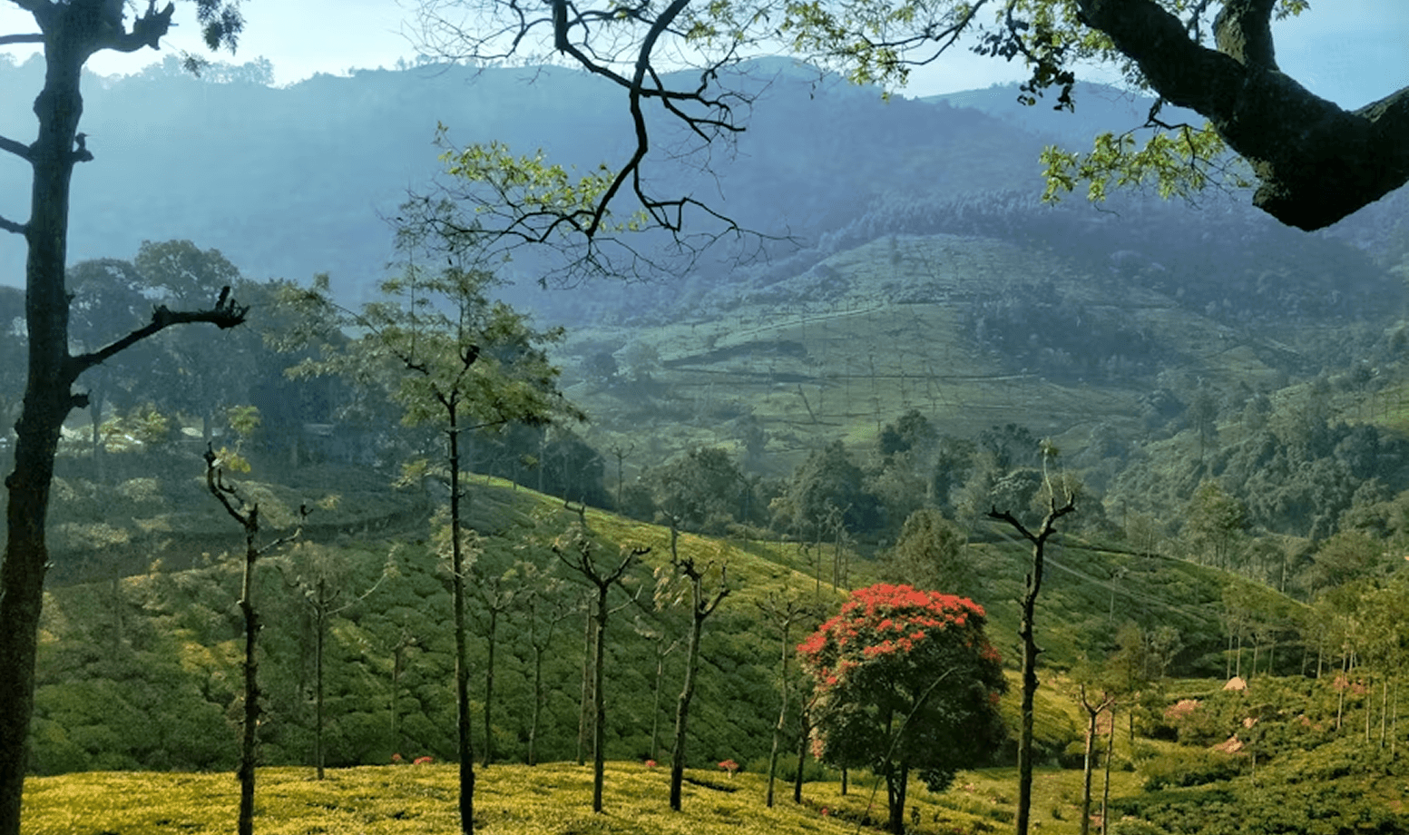 Vana Vida — Lonavala