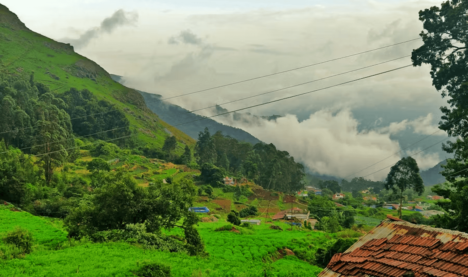 Sannidhi Ecofarms — Sakleshpura