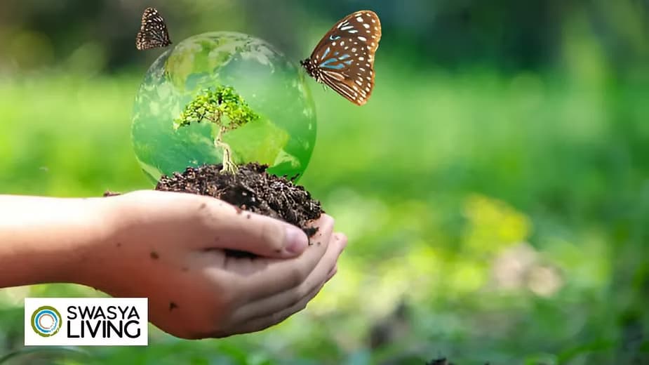Biodiversity Conservation: Types, Methods & Strategies!