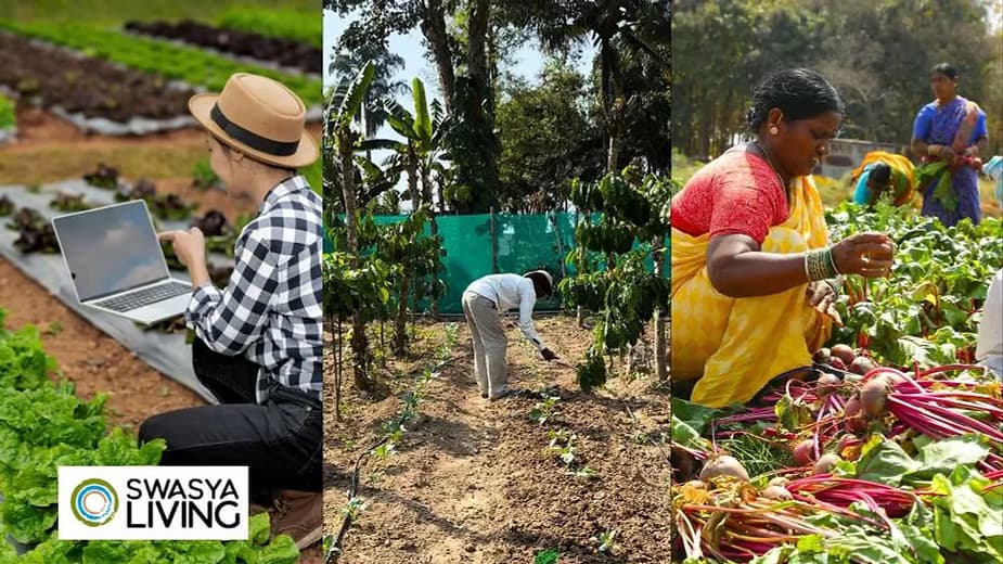 Different Types of Farming: Unlocking the Secrets Behind Agricultural Diversity in India