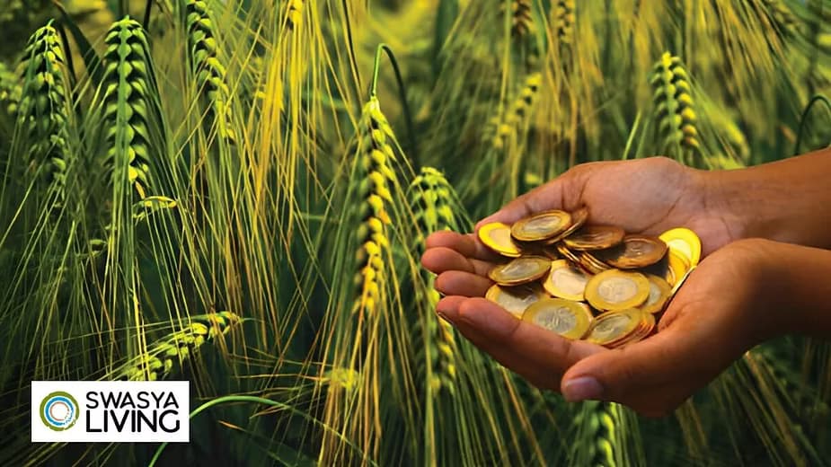 How to Buy Farmland in 2025? Key Factors, Legal Steps & Investment Tips