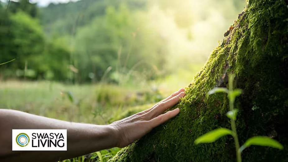 How to Connect with Nature: Top 10 Eco-Friendly Ways to Connect with Nature!