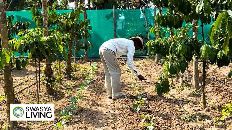 Investing in Agricultural Land: Benefits and How to Invest