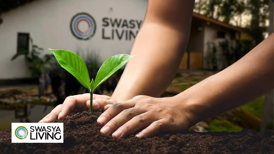 The Incredible Benefits of Reforestation: Importance of Planting Trees