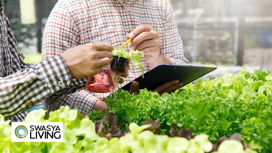 Profitable Agriculture Business Ideas for 2025