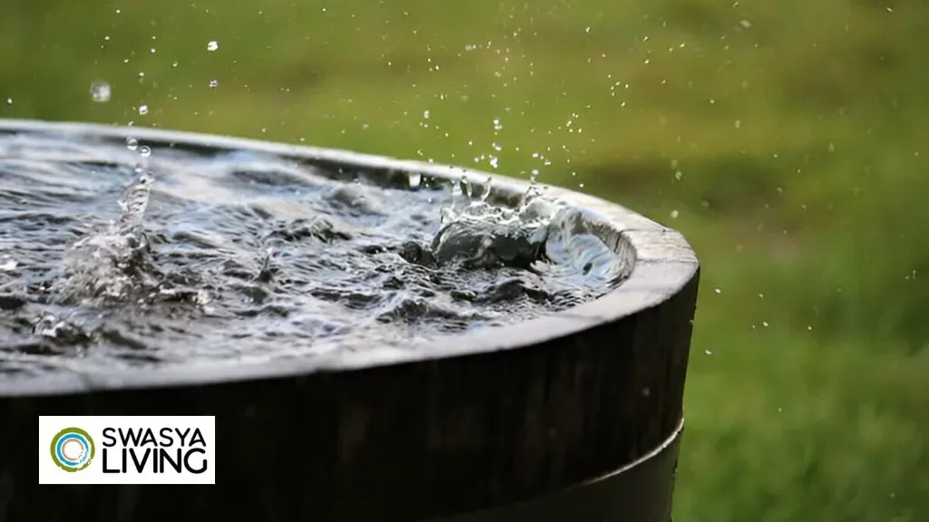 Rain Water Harvesting Methods: Cost, Benefits, Steps!