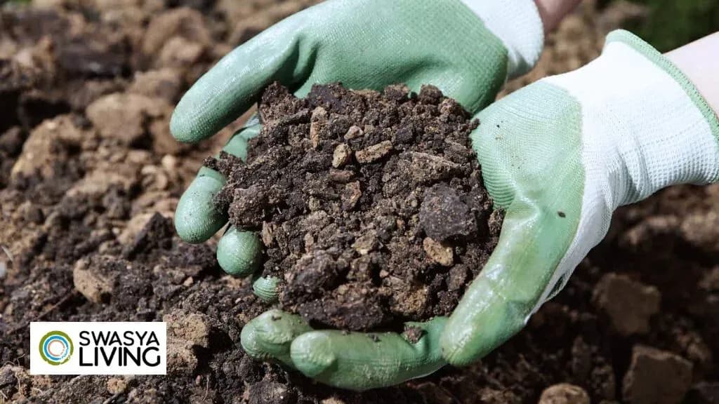 How is Clayey Soil Useful for Crops? Benefits & Uses Explained!