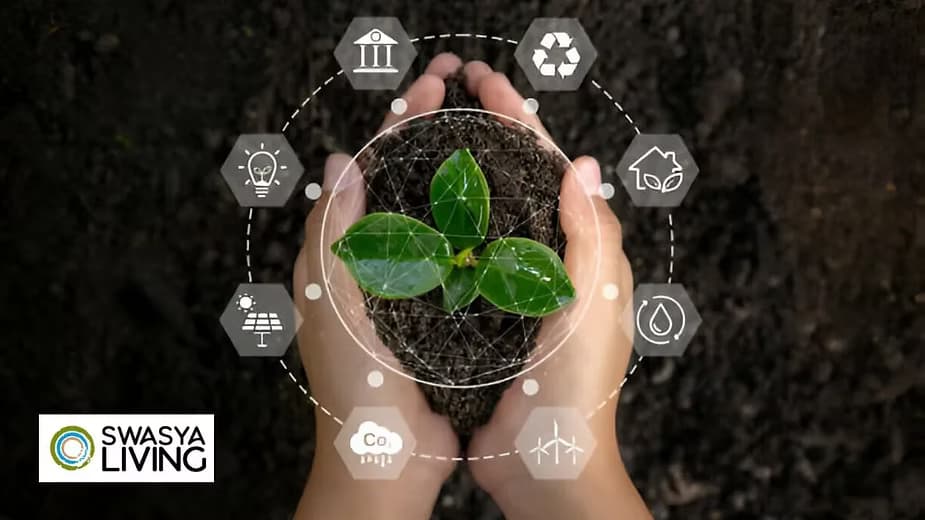 Sustainable Agriculture: Practices, Importance, & the Role of Organic Farming!