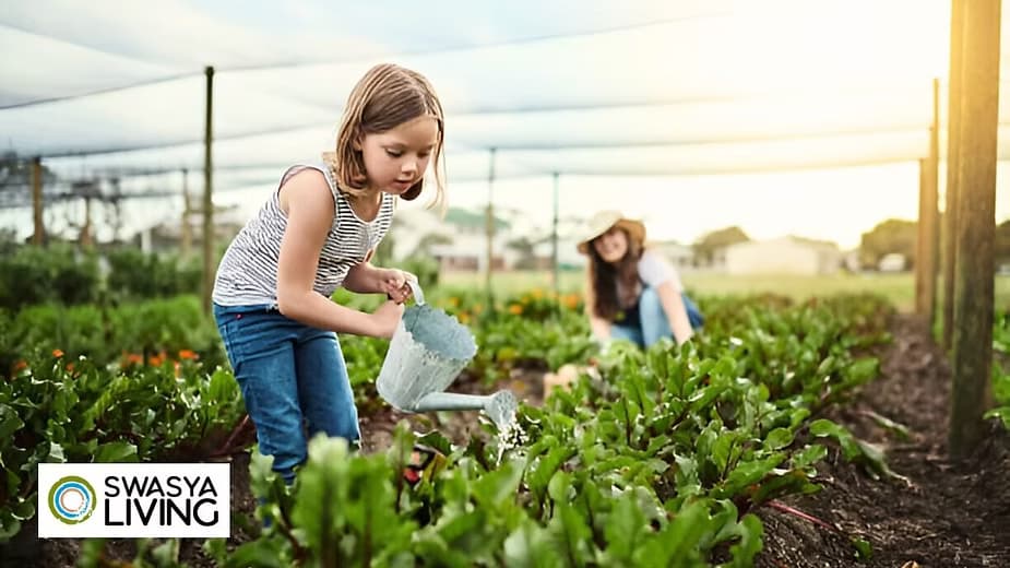 A Sustainable Lifestyle: How to Live Eco-Friendly Every Day?