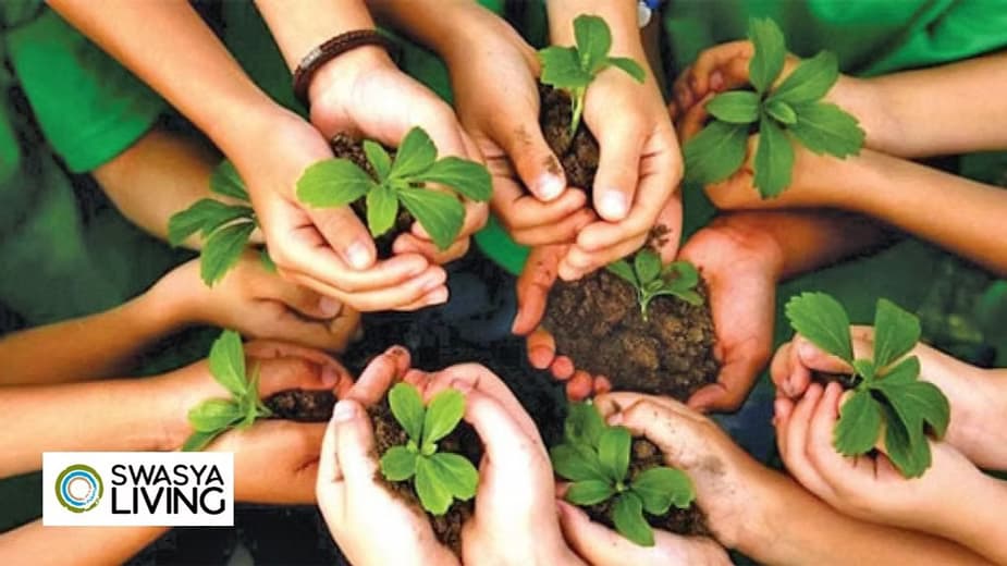 Understanding The Importance of Van Mahotsav : History, Significance, Objectives!