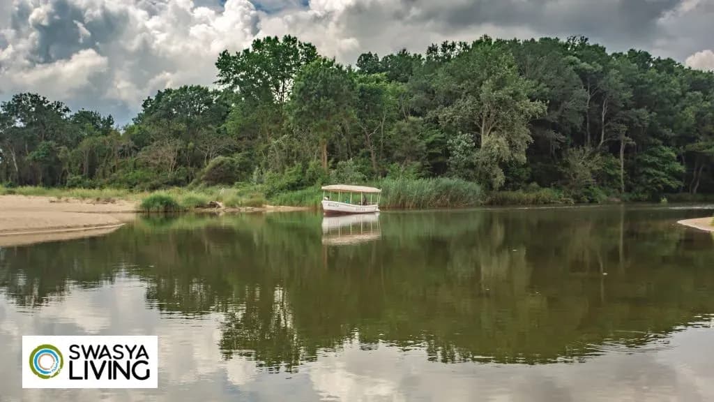 Western Ghats: The Green Wonderland of India