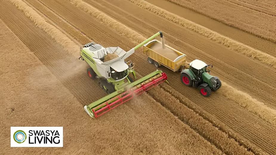 Intensive Farming: Balancing Productivity and Sustainability