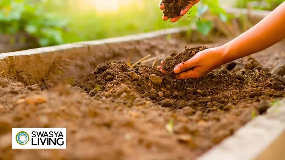 Soil Quality Indicators and How to Improve Them: A Comprehensive Guide