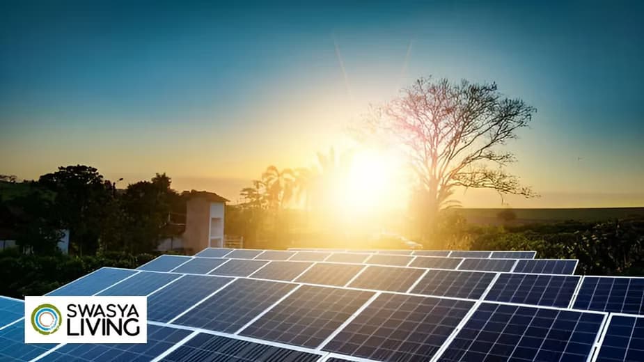 What is Solar Farming in India? How Much Investment Do You Need to Setup?
