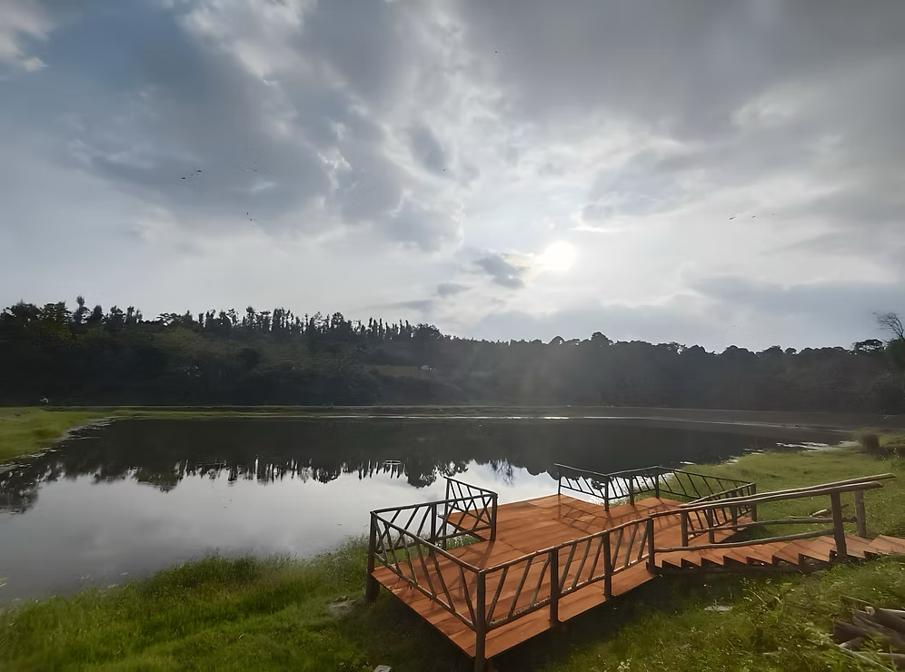 Land and Lakes Revitalization